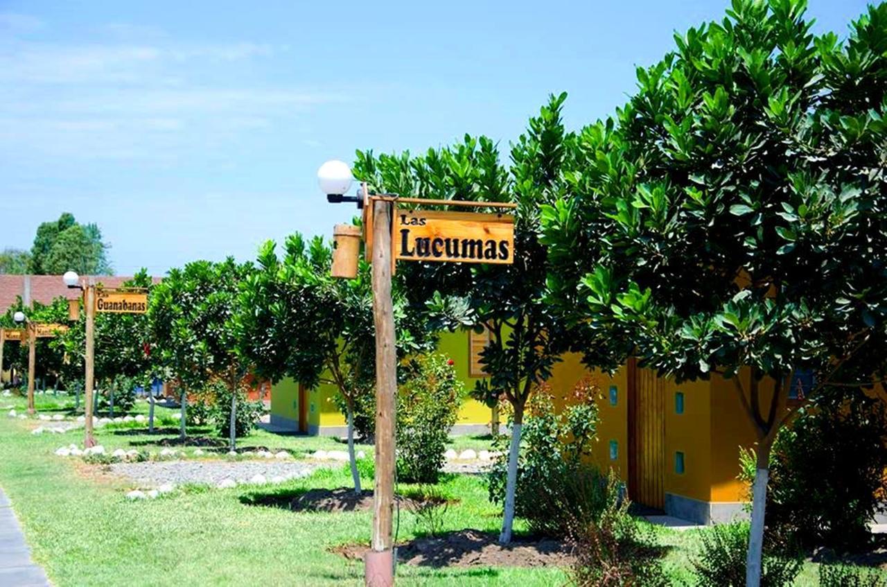 Hotel Villa Kitzia Huacho Extérieur photo